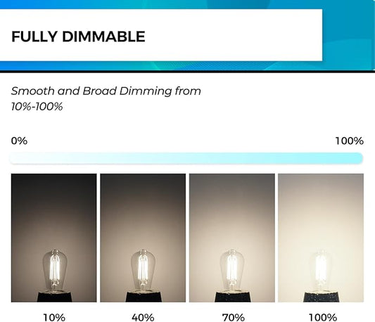 Hizashi E26 Edison Bulb 60 Watt LED, 4000K Dimmable Light Bulbs, ST19 Vintage Light Bulbs Cool White, 95+CRI, UL Listed,700 Lumens 6W E26 Medium Base, Clear Glass, Pack of 3