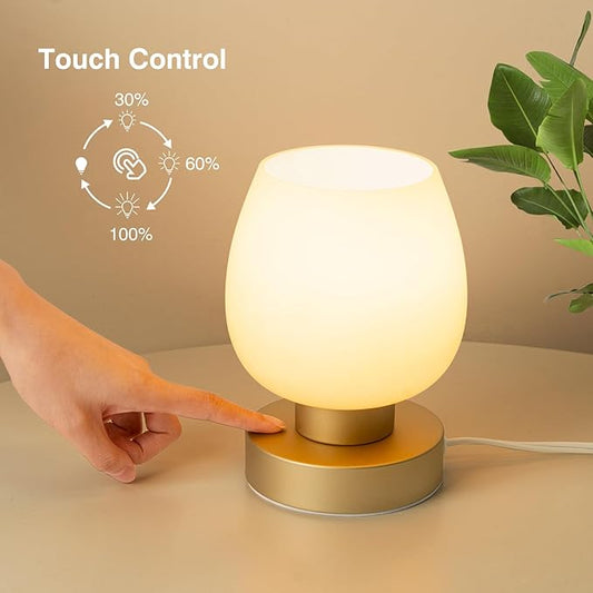Touch Bedside Table Lamp - Desert Titanium Color Glass Lamp Shade, Warm LED Bulb, 3 Way Dimmable, Simple Design