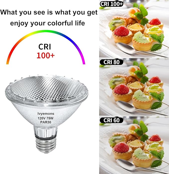 PAR30 Short Neck Halogen 75W - 2 Pack PAR30 Flood Light Bulbs E26 Base, PAR30 Dimmable 2800K Warm White, Long Lasting Halogen Bulb for Accent Lighting, Tracking, Recessed Light