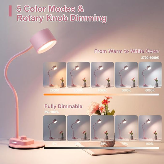 Cute Desk Lamp with USB C + A Charging Port, 5 Colors Dimmable Reading Lamps, Minimalist Pink Lamp for Kids, Eye Care Metal Bedside Table Lamp with Timer Flexible Desk Light for Home Office