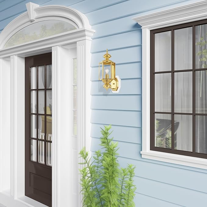 Livex Lighting 2006-02 Basics 1 Light PB Outdoor Wall Lantern, Polished Brass