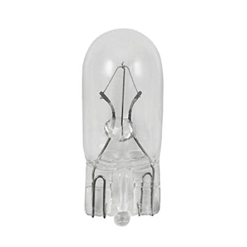 Norman Lamps 1Xx40 5W 12V Wedge Base Xenon Light Bulb (Pack of 40)