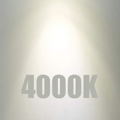 XININSUN T10 led Bulb, Dimmable T10 Frosted led Light Bulbs,8W Led Tube Bulbs, 60-75 Watt Equivalent,4000K Daylight White,E26 Base Bulb for Desk Lamp,Bathroom,Cabinet Display...(Milk White-3 Pack)