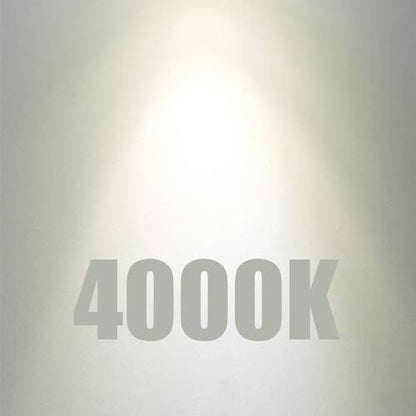 XININSUN T10 led Bulb, Dimmable T10 led Light Bulbs,8W Led Tube Bulbs, 60-75 Watt Equivalent,4000K Daylight White,E26 Base Bulb for Desk Lamp,Bathroom,Cabinet Display...(Milk White-6 Pack)