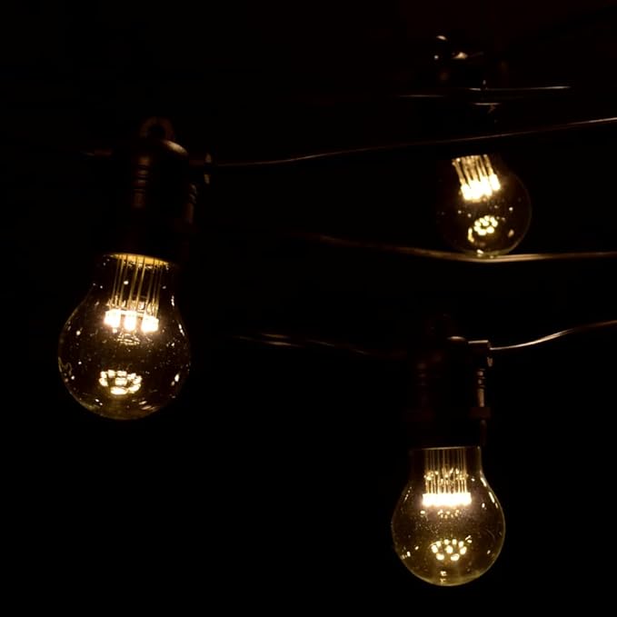 Hometown Evolution, Inc. E26 Commercial String Lights with 16 Gauge Wire (24 Foot 12 Socket, A15 LED 9 Diode 1 Watt Bulbs)