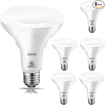 Energetic 6 Pack 65W BR30 LED Recessed Light Bulb, Dimmable, 650 Lumens, 5000K Daylight, E26 Base, Indoor Flood Light for 5/6 Inch Cans