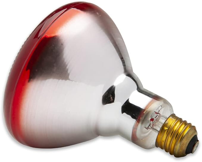 Technical Precision Replacement for Ge General Electric G.e Wb08x10029 Red Infrared Bulb 175 Watt Bulb Warming Lamp - 120V PAR38 Infrared Light Bulb - 1 Pack
