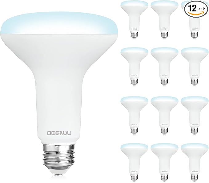 BR30 LED Bulb, Dimmable Flood Lights Indoor CRI80 7W Equivalent 65W 5000K Daylight 650 Lumens, 15000 Lifetime Hours Recessed Light Bulbs, Interior E26 Base LED Can Light Bulbs, 12 Pack