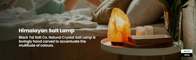 Black Tai Salt Co. Himalayan Salt Lamp with Cord (20.5-29.5 lbs) – Large Crafted