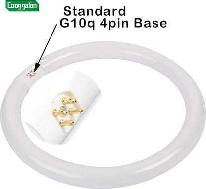 FC12T9/DX 32W 12 inch T9 Circular Light Bulb Daylight, Round Fluorescent Circline Bulbs FC12 T9 32 Watts Kitchen and Bath, G10q 4 Pin Prong, 6500K, 2 Pack