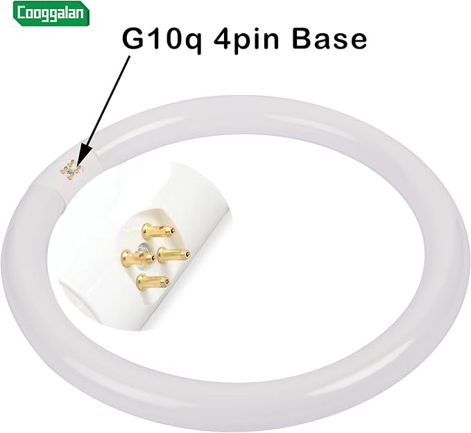 FC12T9/CW 32W Cool White Circular Light Bulbs, 12 inch Round T9 32 Watts FC12T9/841 4100K Circline Fluorescent Bulb, Replacement Kitchen and Bath Circle Light Bulb, G10q 4 Pin Prong, 2 Pack