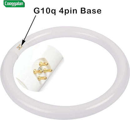 FC12T9/CW 32W Cool White Circular Light Bulbs, 12 inch Round T9 32 Watts FC12T9/841 4100K Circline Fluorescent Bulb, Replacement Kitchen and Bath Circle Light Bulb, G10q 4 Pin Prong, 2 Pack