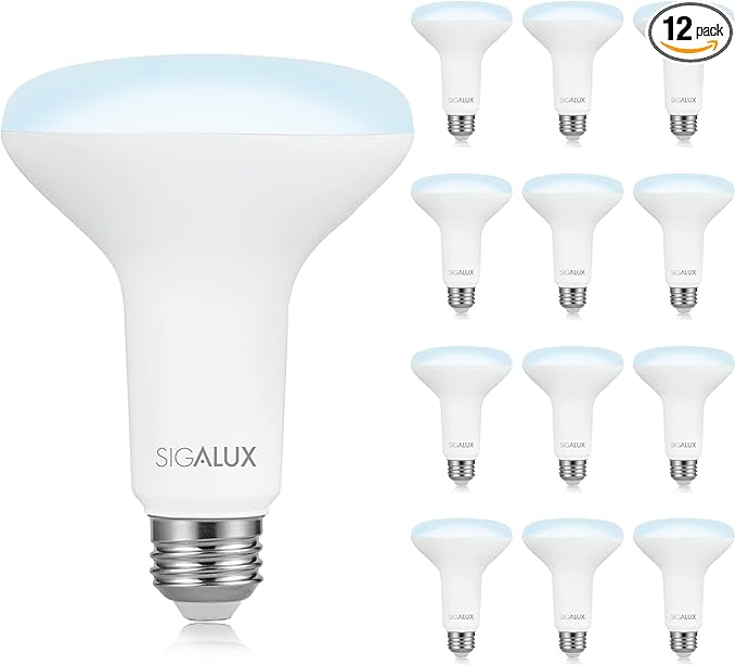 LED Flood Lights Indoor, BR30 LED Bulb 100W Equivalent, Dimmable Recessed Light Bulbs 5000K Daylight Can Light Bulbs, E26 Base Bulged Light Bulbs UL Listed, 12 Pack