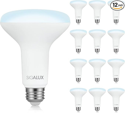 LED Flood Lights Indoor, BR30 LED Bulb 100W Equivalent, Dimmable Recessed Light Bulbs 5000K Daylight Can Light Bulbs, E26 Base Bulged Light Bulbs UL Listed, 12 Pack