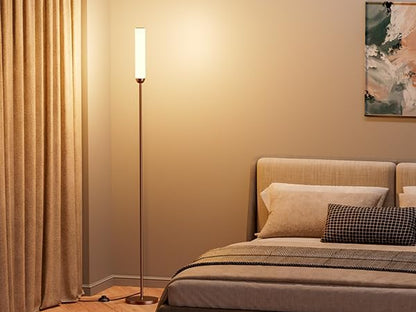 Ambimall LED Floor Lamp with Remote Control, 65" Standing lamp with Stepless Adjustable 3000K-6500K Colors & 30-100% Brightness, Foot Switch(Brown)