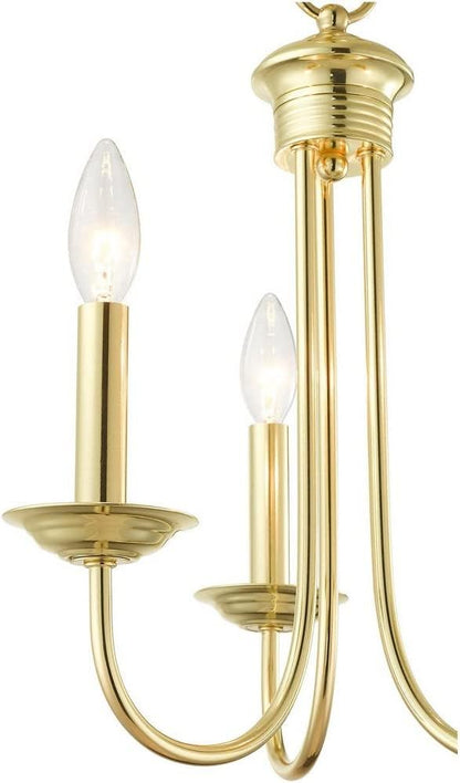 Livex Lighting Chandelier