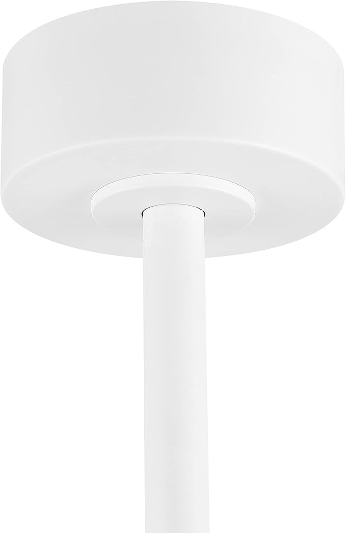 WINGBO 64" DC Ceiling Fan No Lights, 5 Carved Solid Wood Blades, 6-Speed Reversible DC Motor, Brass Finish Ceiling Fan without Lights, White