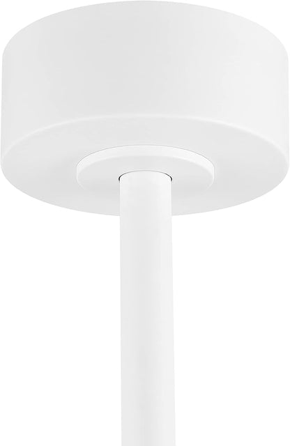 WINGBO 64" DC Ceiling Fan No Lights, 5 Carved Solid Wood Blades, 6-Speed Reversible DC Motor, Brass Finish Ceiling Fan without Lights, White
