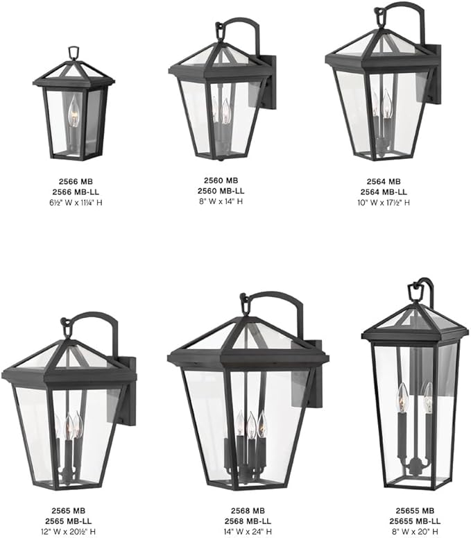 Hinkley Alford Place 25655MB Medium Outdoor Tall Wall Mount Lantern - Die Cast Aluminum Frame, Sealed Clear Glass - Museum Black
