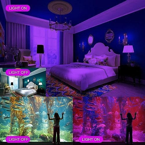 Black Lights 300W LED Flood Light with Plug(6ft Cable), IP66 Waterproof Black Lights for Party, Stage Lighting, Aquarium, Body Painting, Halloween, Neon Glow in The Dark (2 Pack)