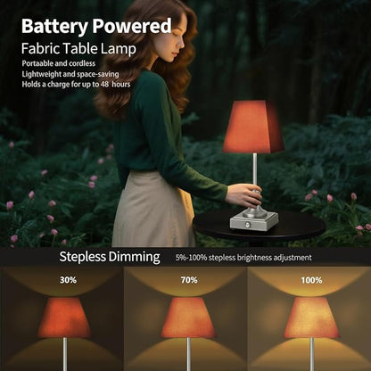 Rechargeable LED Table Lamps with Stepless Touch Control,Sliver Cordless Lamp for Living Room&Bedside&Patio&Shower,Small Desk Lamp(6000mAH Battery),2 Pack for Home Decor,Best Gifts for Family