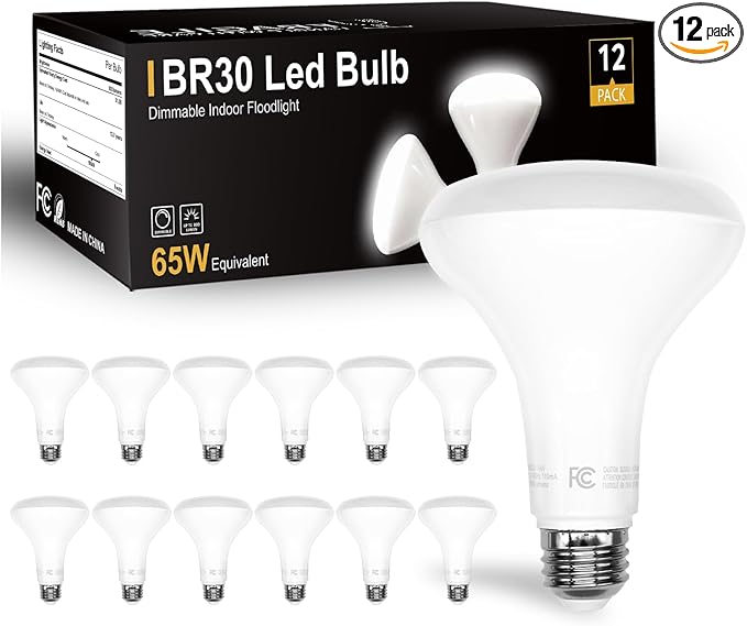 DAYBETTER 12Pack BR30 LED Light Bulbs Indoor Flood Light 65W Equivalent, Daylight White 5000K, Dimmable Recessed Light Bulb for Bedroom Kitchen Living Areas, 800 Lumens E26 Base