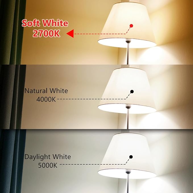 BORT Dimmable LED Edison Bulbs,2700K Warm White, 6W Equivalent to 60W Vintage Light Bulbs, Antique Flexible Spiral LED Filament Decorative Light Bulbs