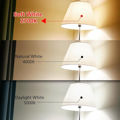 BORT Dimmable LED Edison Bulbs,2700K Warm White, 6W Equivalent to 60W Vintage Light Bulbs, Antique Flexible Spiral LED Filament Decorative Light Bulbs