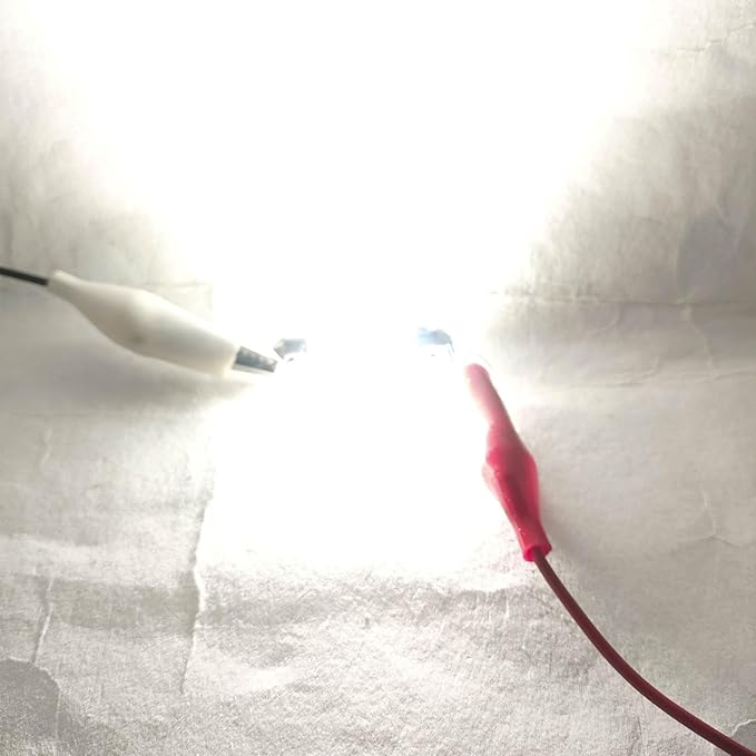 44mm DC 24V 578 569 Festoon LED Bulb Extremely Super Bright 6000K White,561 562 566 Led Light Bulb for Truck Marine Boat Interior Reading Lights (Pack 12)