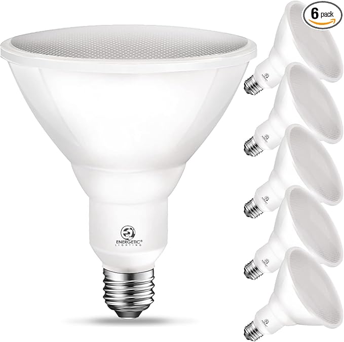 Energetic PAR38 Outdoor LED Flood Light Bulb, 5000K Daylight, 90 Watt Equivalent, Wet Rated, 900LM, E26 Base, Non-Dimmable, 6 Pack