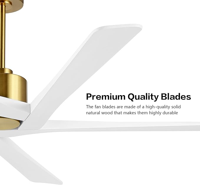 WINGBO 54 Inch DC Ceiling Fan without Lights, 5 Reversible Carved Solid Wood Blades, 6-Speed Noiseless DC Motor, Ceiling Fan No Light with Remote, Brass Finish with White Blades, ETL Listed