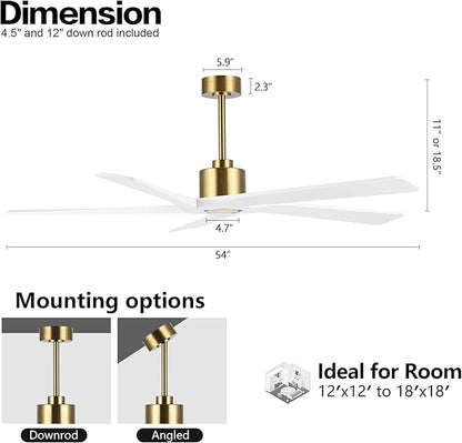 WINGBO 54 Inch DC Ceiling Fan without Lights, 5 Reversible Carved Solid Wood Blades, 6-Speed Noiseless DC Motor, Ceiling Fan No Light with Remote, Brass Finish with White Blades, ETL Listed
