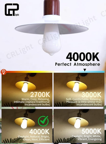 CRLight Dimmable Opal LED Edison Bulbs - 6W (65W Eqv) 650LM 4000K Neutral White, ST58 = ST19 E26 Base, Coated Inside White Milky Glass Vintage Filament Light, 10 Pack