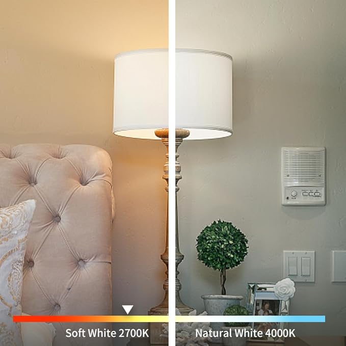 ST58 (ST19) Vintage Edison LED Bulb,Soft White 2700K,Antique Flexible Spiral LED Filament Light Bulb,600LM,6W Equivalent to 60W,CRI 80+,E26 Base,Clear Plastic,6 Pack