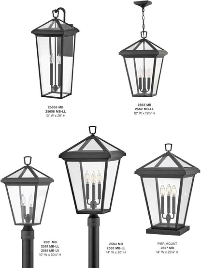 Hinkley Alford Place 25658MB Large Outdoor Tall Wall Mount Lantern - Die Cast Aluminum Frame, Sealed Clear Glass - Museum Black