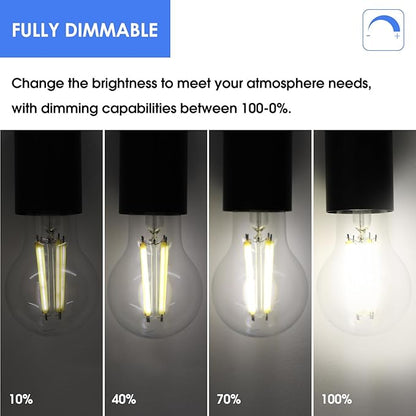 Energetic Dimmable A19 LED Edison Light Bulb, 12W Equivalent 100W, 1600LM High Brightness, 4000K Cool White, Clear Antique LED Filament Bulb for Home, Bathroom, E26 Standard Base, 6-Pack
