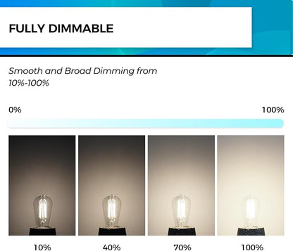 Hizashi E26 Edison Bulb 60 Watt LED, 4000K Dimmable Light Bulbs, ST19 Vintage Light Bulbs Cool White, 95+CRI, UL Listed,700 Lumens 6W E26 Medium Base, Clear Glass, Pack of 3