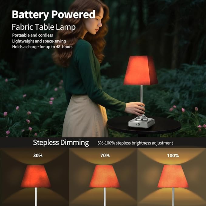 Rechargeable LED Table Lamps with Stepless Touch Control,Light Sliver Cordless Lamp for Living Room&Bedside&Patio&Shower,Small Desk Lamp(6000mAH Battery),1 Pack for Home Decor,Best Gifts for Family