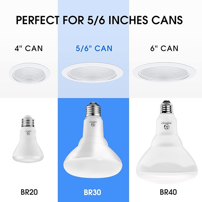 Energetic 12 Pack LED Recessed Light Bulbs BR30, 1100Lumens, 85W Equivalent, Dimmable, Daylight 5000K, Indoor Flood Lights for Recessed Cans, UL Listed