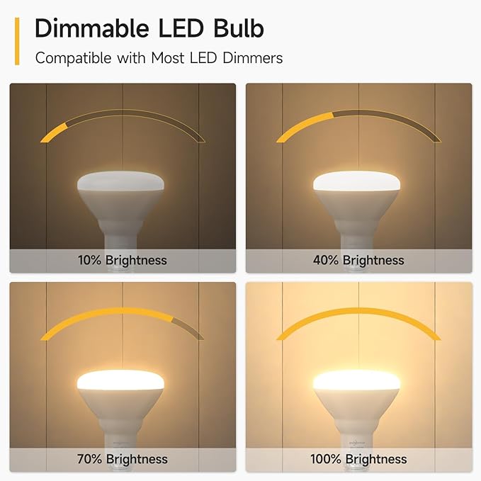 SHINESTAR 12 Pack Flood Light Bulb Indoor, 65W Equivalent Dimmable BR30 Led Recessed Lights Bulb, 2700K Soft Warm White, E26 Standard Base for Kitchen Ceiling, Recessed Can,650 Lumens, 8.5W