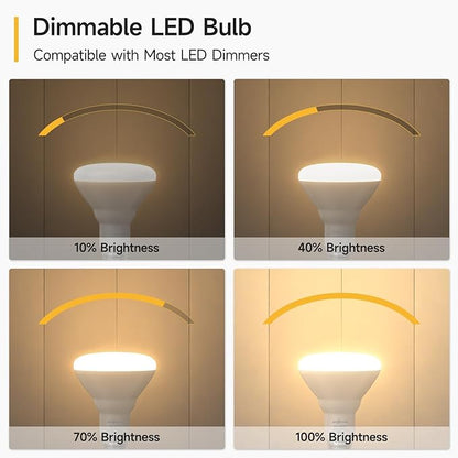 SHINESTAR 12 Pack Flood Light Bulb Indoor, 65W Equivalent Dimmable BR30 Led Recessed Lights Bulb, 2700K Soft Warm White, E26 Standard Base for Kitchen Ceiling, Recessed Can,650 Lumens, 8.5W
