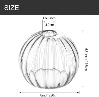 Clear Glass Shade,Replacement Globe & Cover for Lighting Fixture, 8" Diameter, Replacement with 1.65 Inch Fitter for Wall Lamps Chandeliers or Ceiling Light (2, 8Inch - Clear Glass)
