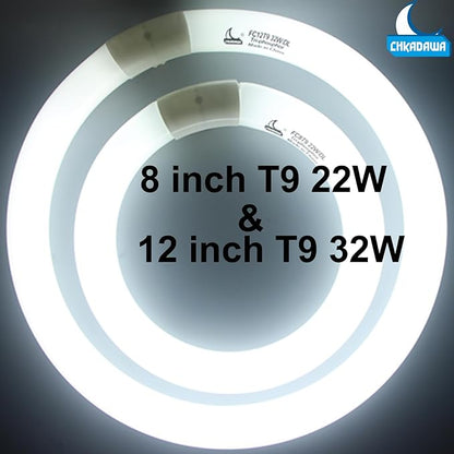 FC8T9 22W and FC12T9 32W Daylight Set , Round Fluorescent Bulb 8 inch T9 22 Watts & Circular Light Bulbs 12 inch 32 Watts kit, Circline Kitchen and Bath Fluorescent Lamp, CRI 80, DL 6500K, G10q Prong