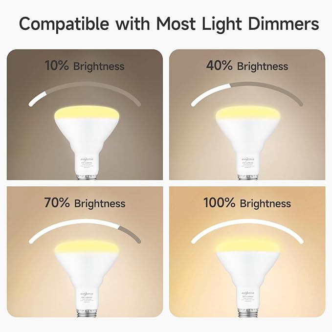 SHINESTAR 6-Pack Flood Light Bulb Indoor, 65W Equivalent Dimmable BR30 Led Recessed Lights Bulb, 2700K Soft Warm White, E26 Standard Base for Kitchen Ceiling, Recessed Can,650 Lumens, 8.5W