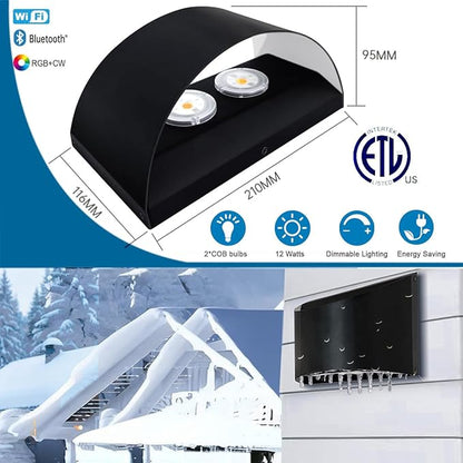 Smart Outdoor Wall Sconce, Tunable White 2700k-6500k Porch Lights, RGB Exterior Lighting Fixture with APP&Voice Control, 12W WiFi LED Outside Lights for House