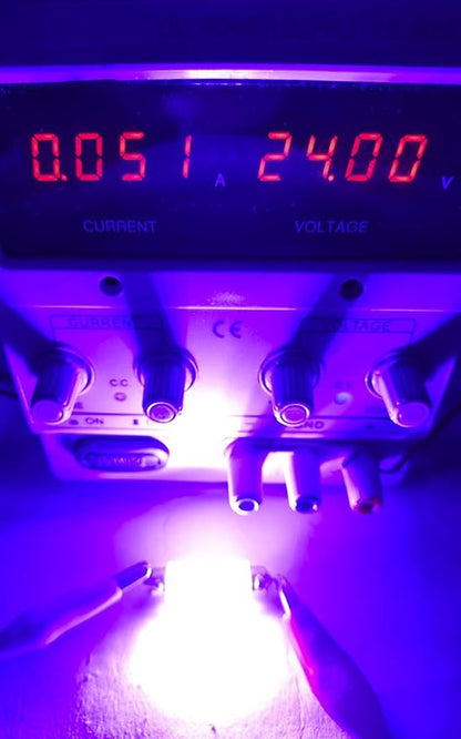 578 LED Bulb Pink Purple,211-2 Festoon LED Car Bulbs 43mm 44mm,Festoon 212-2 LED Bulb DC 24V for Truck Interior Map Trunk Lights (Pack 12)