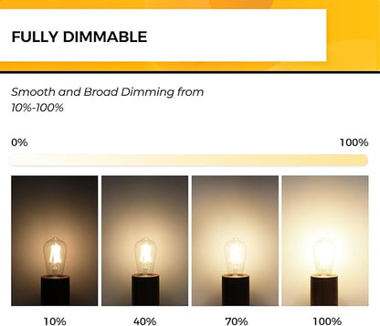 Hizashi LED Edison Bulbs, 6W, Equivalent 60W, Dimmable E26 LED Bulb, 3000K Soft White, 95+ CRI 700 Lumens, ST19 Vintage Light Bulbs, Clear Glass, Pack of 4