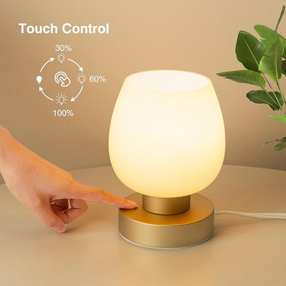 Touch Bedside Table Lamp - Desert Titanium Color Glass Lamp Shade, Warm LED Bulb, 3 Way Dimmable, Simple Design