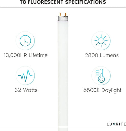 LUXRITE F32T8/865 32W 48 Inch T8 Fluorescent Tube Light Bulb, 6500K Daylight, 2800 Lumens, G13 Medium Bi-Pin Base, LR20735, 4-Pack
