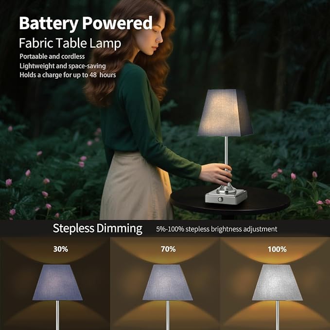Rechargeable LED Table Lamps with Stepless Touch Control,Light Sliver Cordless Lamp for Living Room&Bedside&Patio&Shower,Small Desk Lamp(6000mAH Battery),1 Pack for Home Decor,Best Gifts for Family